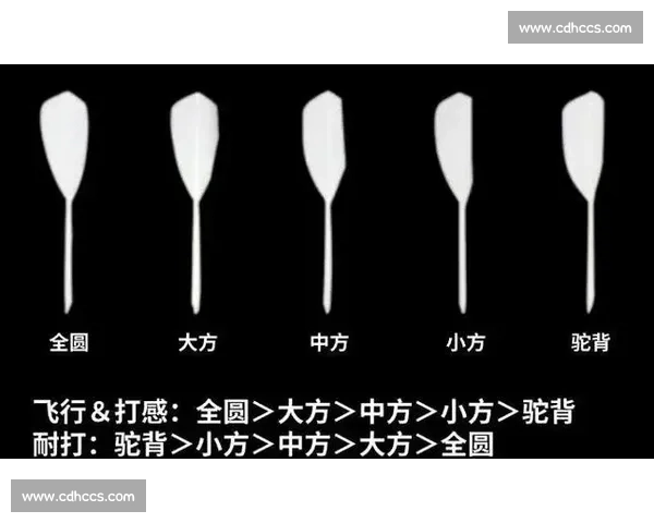全球羽毛球最新排名与赛季选手积分变化全面解析 全球羽毛球最新排名与赛季选手积分变化全面解析